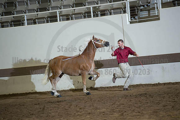ISF_08192016_SCL_4843