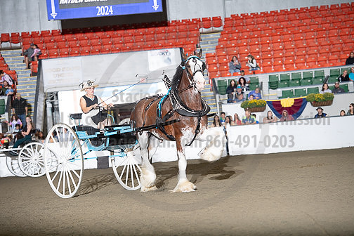 BigE_09292024_SCL2149
