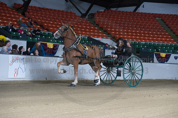 NABC8_10152016_SCL_0354
