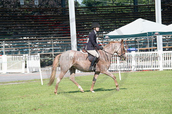 2016DCF_08242016_SCL_8567