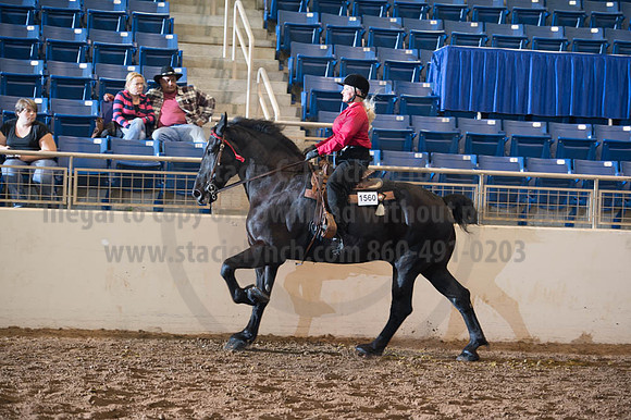 2016 _KILE_10082016_SCL9459