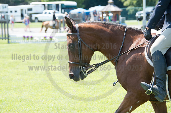 2016DCF_08242016_SCL_8962