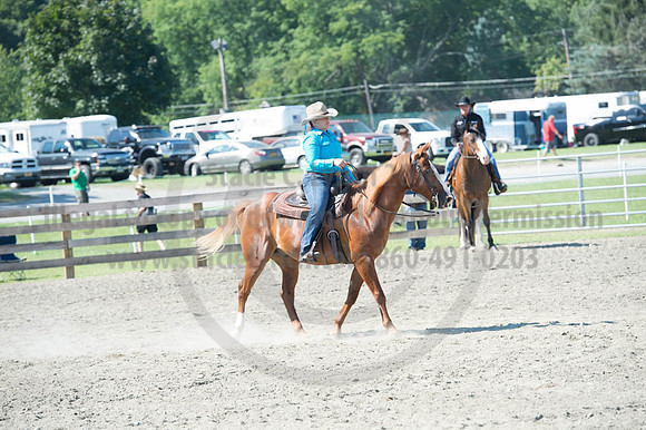 2016DCF_08272016_SCL_1119