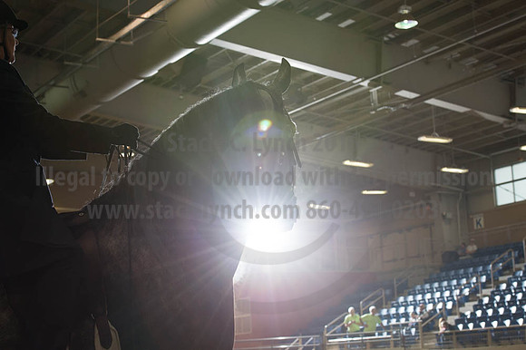 2016 _KILE_10082016_SCL9377