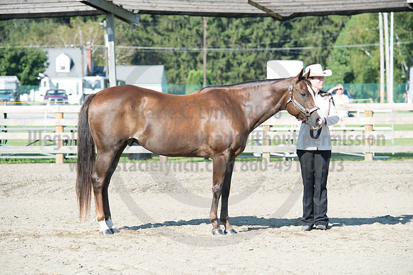 2016DCF_08272016_SCL_0960
