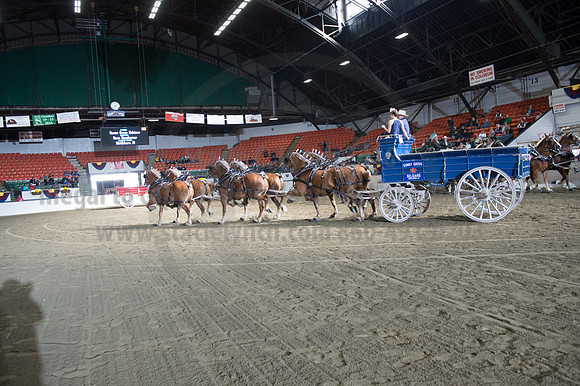 NABC8_10142016_SCL_8688
