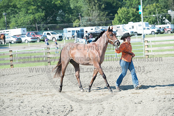 2016DCF_08272016_SCL_1063