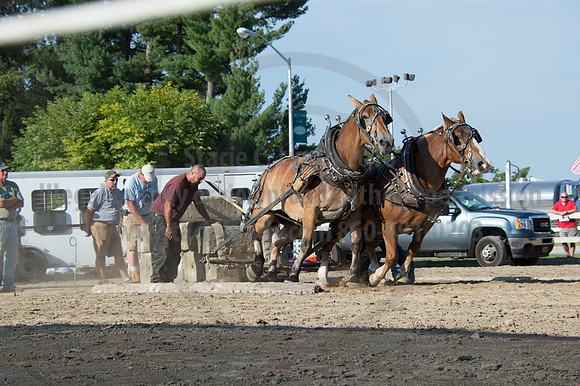 2016DCF_08242016_SCL_9548