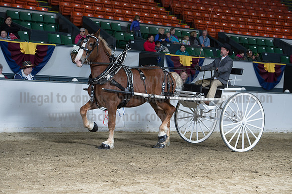 NABC8_10142016_SCL_8413