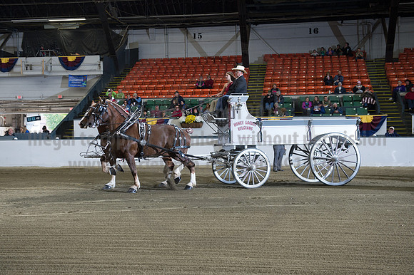 NABC8_10152016_SCL_0775
