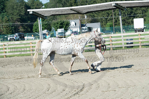 2016DCF_08272016_SCL_0951