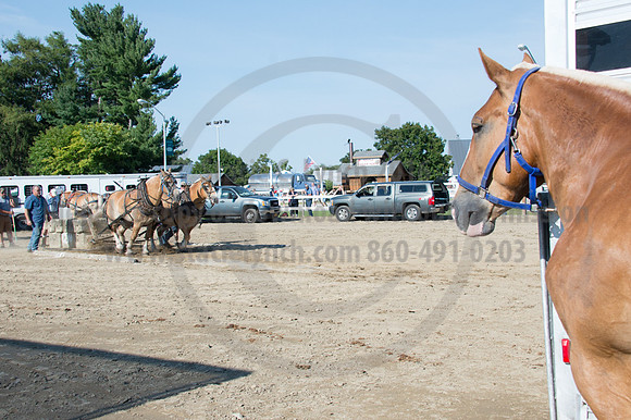 2016DCF_08242016_SCL_9443