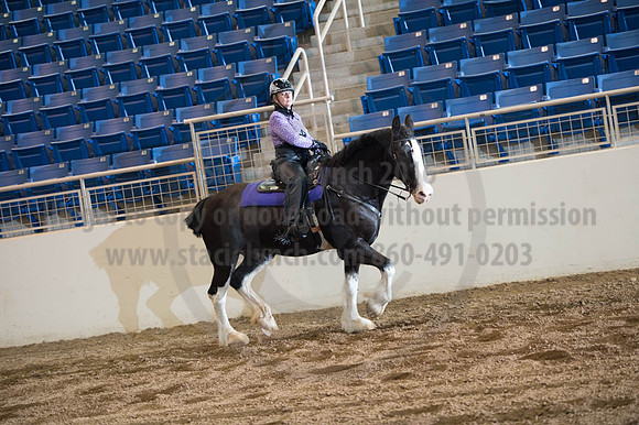 2016 _KILE_10082016_SCL9470