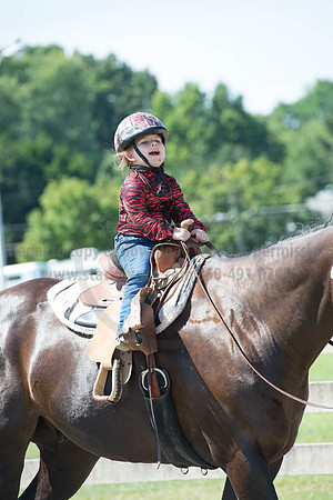 2016DCF_08272016_SCL_1186