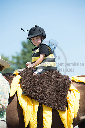 2016DCF_08272016_SCL_1265