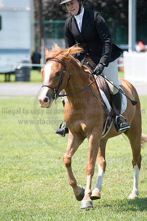 2016DCF_08242016_SCL_8929