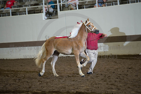 ISF_08192016_SCL_4030