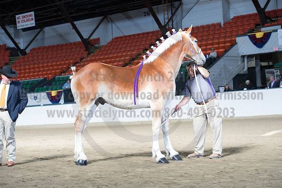 NABC8_10122016_SCL_2900