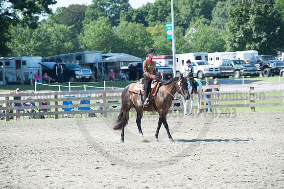 2016DCF_08272016_SCL_1083