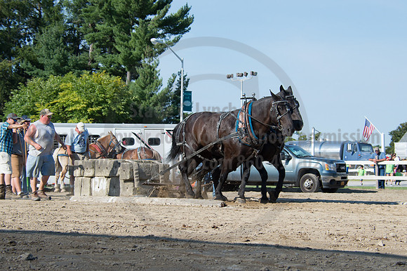 2016DCF_08242016_SCL_9460