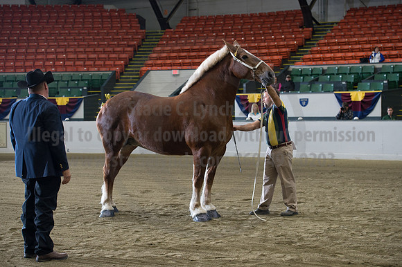 NABC8_10132016_SCL_5094