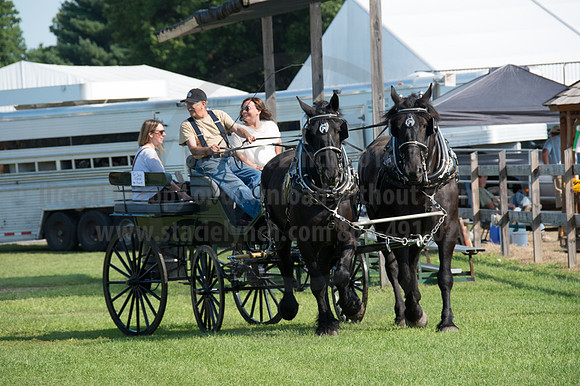 2016DCF_08242016_SCL_8586