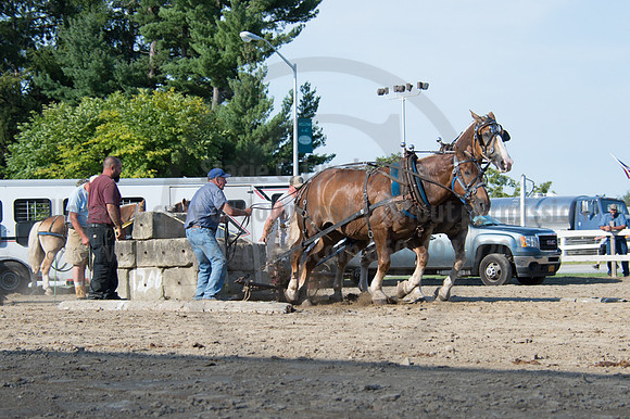 2016DCF_08242016_SCL_9506