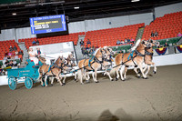 BigE_09292024_SCL2430
