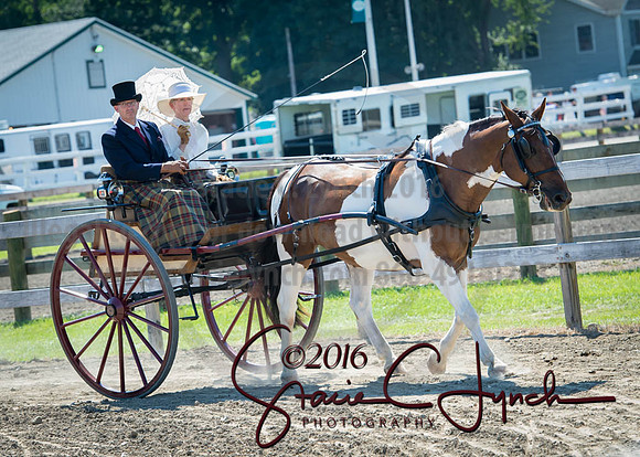 2016DCF_08272016_SCL_1151