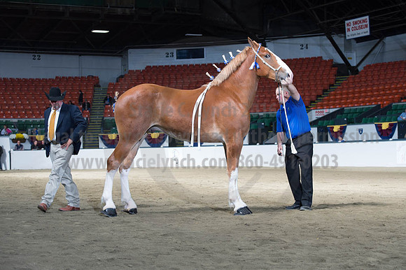 NABC8_10122016_SCL_2872