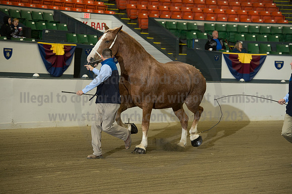 NABC8_10132016_SCL_5027