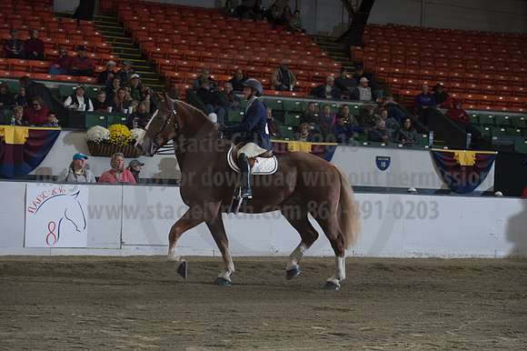 NABC8_10152016_SCL_0609
