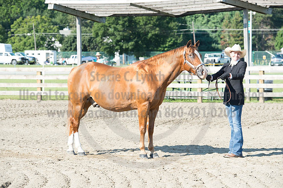 2016DCF_08272016_SCL_0988