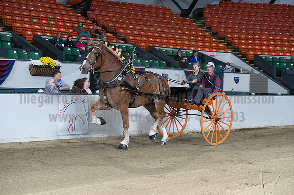 NABC8_10152016_SCL_0449