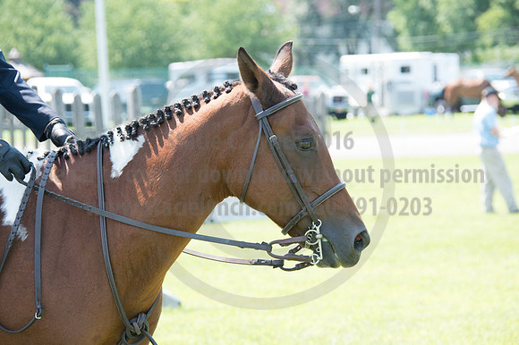 2016DCF_08242016_SCL_8917