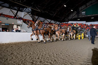 BigE_20221002-SCL_4765