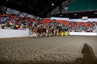 BigE_20221002-SCL_4752