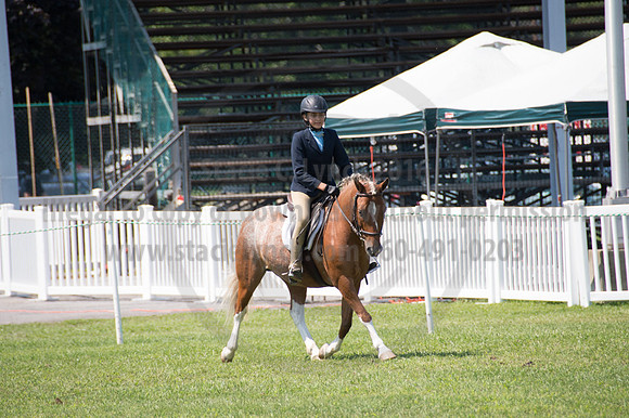 2016DCF_08242016_SCL_8923