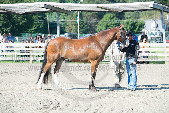 2016DCF_08272016_SCL_1038
