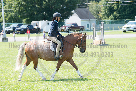 2016DCF_08242016_SCL_8902
