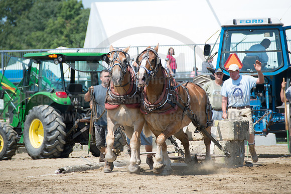 2016DCF_08242016_SCL_9142