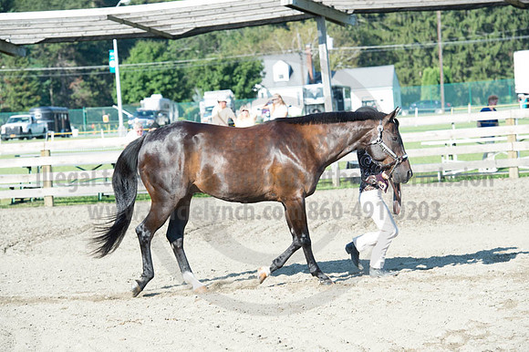 2016DCF_08272016_SCL_0928