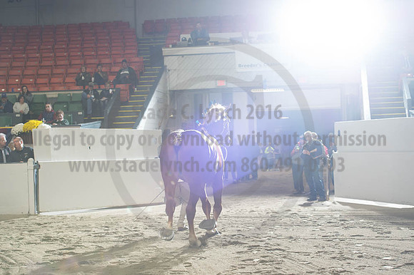 NABC8_10122016_SCL_4153