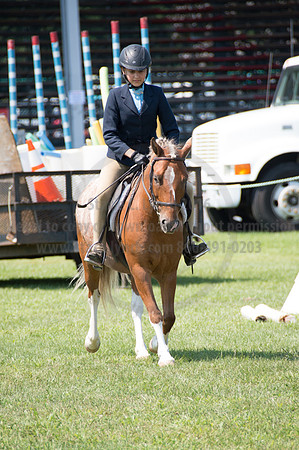 2016DCF_08242016_SCL_8924