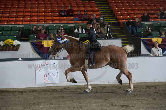 NABC8_10152016_SCL_0644