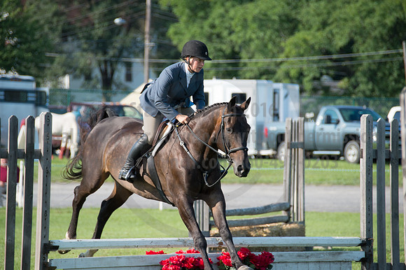 2016DCF_08242016_SCL_8351