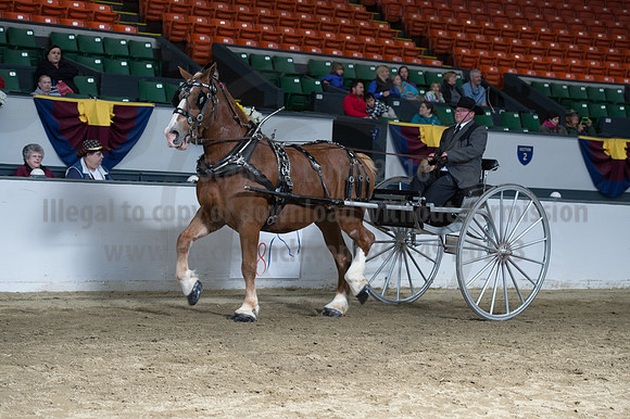 NABC8_10142016_SCL_8412