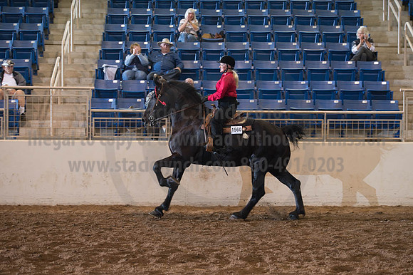 2016 _KILE_10082016_SCL9491