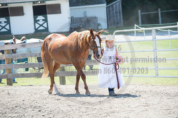 2016DCF_08272016_SCL_1254