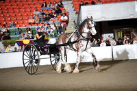 BigE_09282024_SCL1891